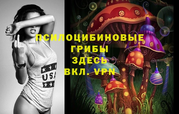 спайс Касимов