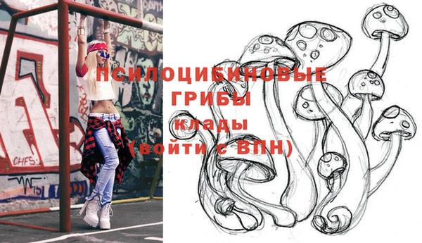 спайс Касимов