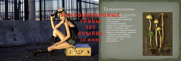 меф Карпинск