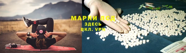 спайс Касимов
