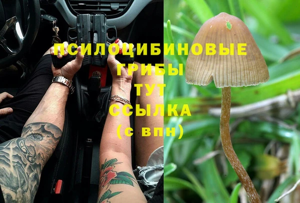 спайс Касимов