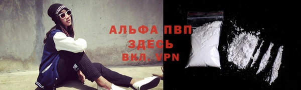 спайс Касимов